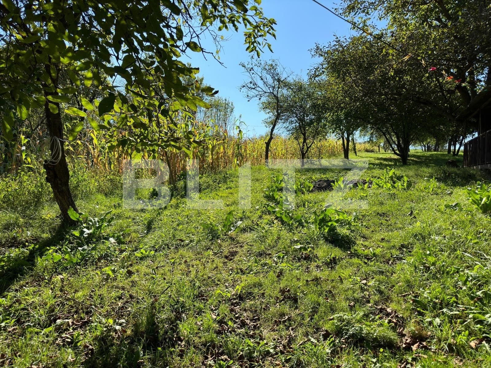 Casa de vânzare 5 camere Jucu - 125315CV | BLITZ Cluj-Napoca | Poza8