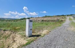 Teren, 1000 mp, Valea Fanatelor