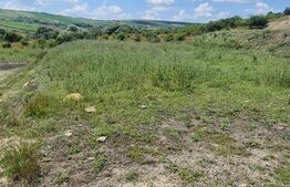 Teren, 1000 mp, Valea Fanatelor