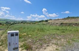 Teren, 1000 mp, Valea Fanatelor