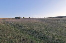 Teren, 11.600 mp, Campenesti