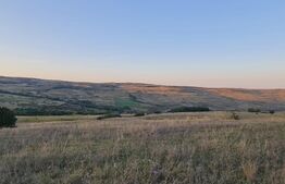 Teren, 11.600 mp, Campenesti