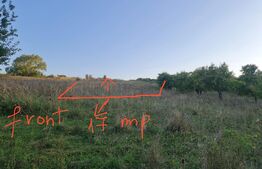 Teren, 11.600 mp, Campenesti