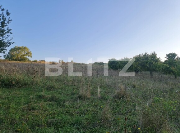 Teren de vânzare Câmpeneşti - 125349TV | BLITZ Cluj-Napoca | Poza8
