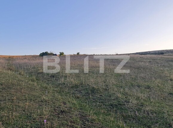 Teren de vânzare Câmpeneşti - 125349TV | BLITZ Cluj-Napoca | Poza5