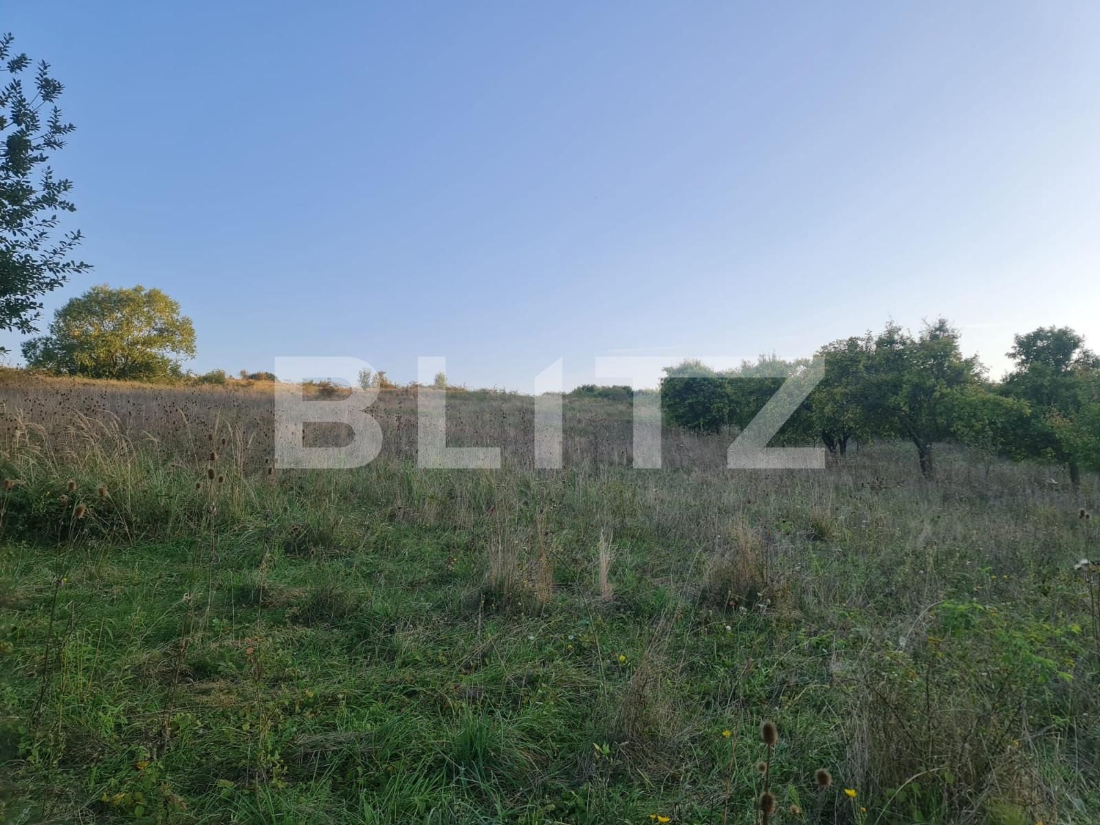 Teren de vânzare Câmpeneşti - 125349TV | BLITZ Cluj-Napoca | Poza8