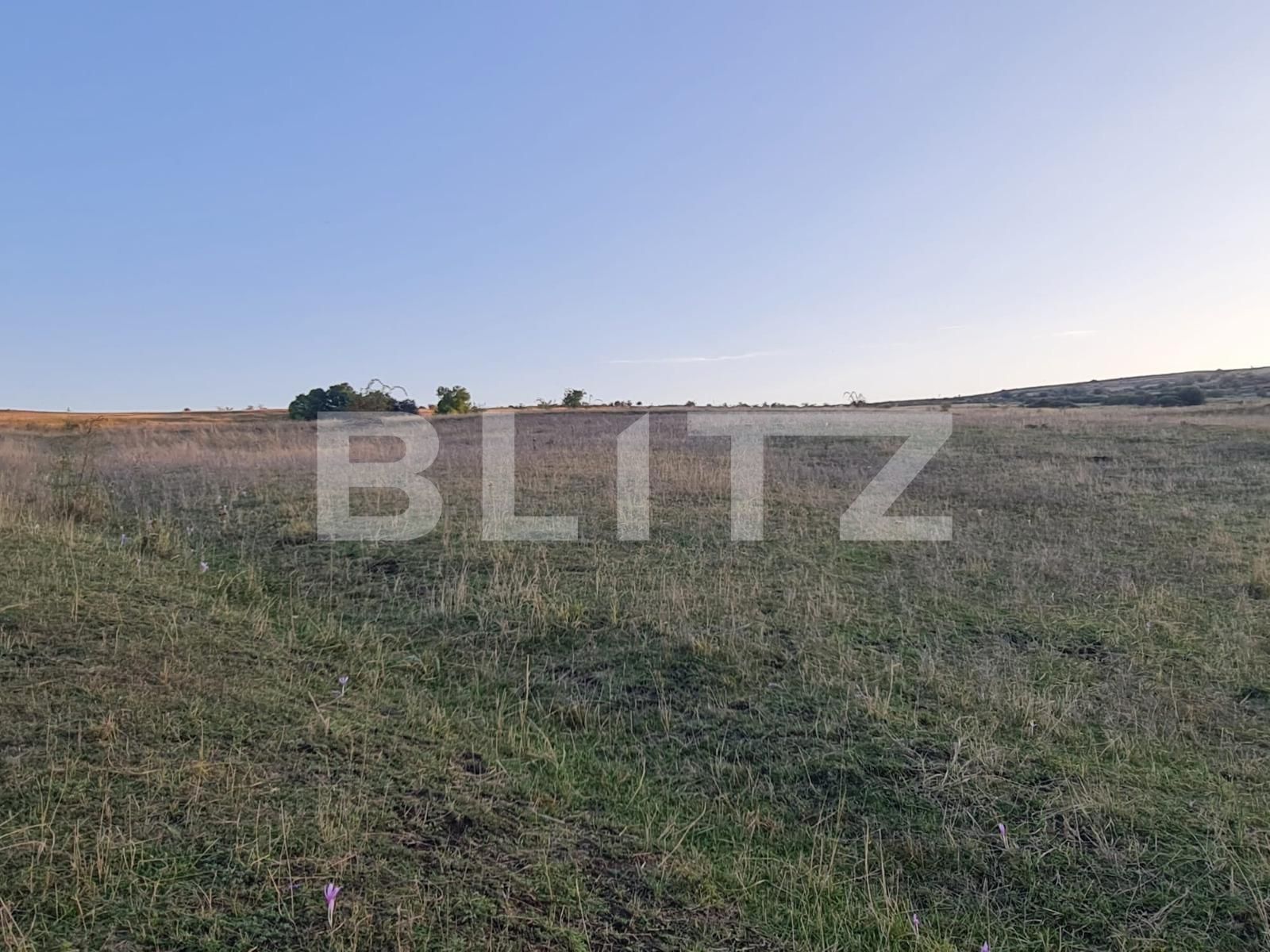 Teren de vânzare Câmpeneşti - 125349TV | BLITZ Cluj-Napoca | Poza5