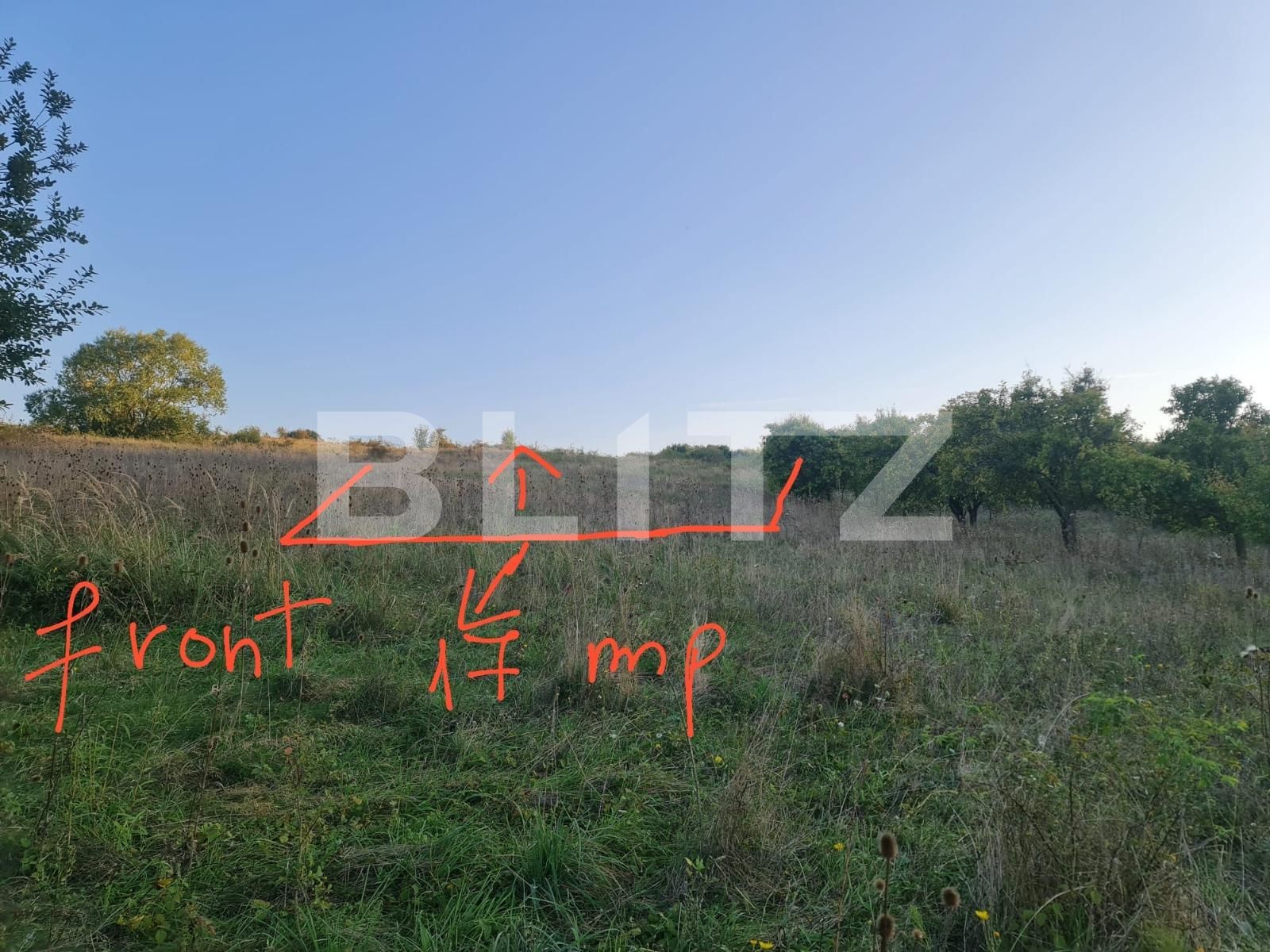 Teren de vânzare Câmpeneşti - 125349TV | BLITZ Cluj-Napoca | Poza3