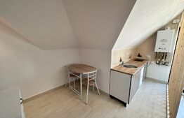 Studio luminos, 25mp, parcare cu cf, zona Vivo