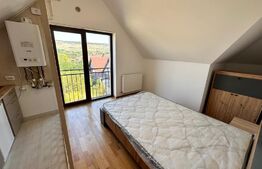 Studio luminos, 25mp, parcare cu cf, zona Vivo