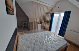 Studio luminos, 25mp, parcare cu cf, zona Vivo