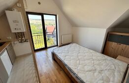 Studio luminos, 25mp, parcare cu cf, zona Vivo