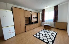 Garsoniera, 22 mp, etaj intermediar, zona Iris