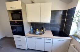 Apartament la cheie, 1 camera, decomandat, 37mp, balcon, zona Stejarului