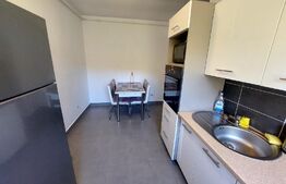 Apartament la cheie, 1 camera, decomandat, 37mp, balcon, zona Stejarului