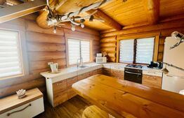 Casa 2 camere, 86mp utili, 987 mp teren, zona Suceagu!