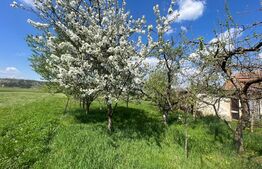 Casa individuala 3 camere, 141mp, teren 2363 mp, Turda 