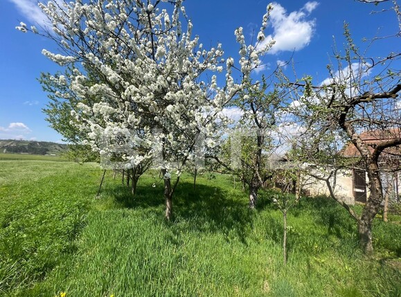 Casa de vânzare 3 camere  - 125480CV | BLITZ Cluj-Napoca | Poza6