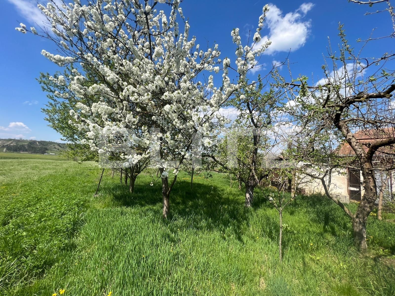 Casa de vânzare 3 camere  - 125480CV | BLITZ Cluj-Napoca | Poza6