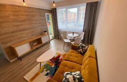 Apartment modern 2 camere, 50mp, zona Mcdonalds, Centru