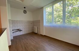 Garsoniera renovata, 28 mp, zona Constantin Brancusi