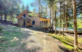 Cabana la rosu,  1000 mp teren, zona Belis 