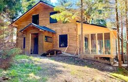 Cabana la rosu,  1000 mp teren, zona Belis 