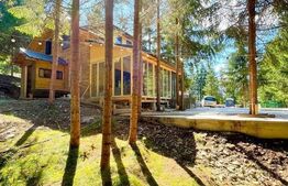 Cabana la rosu,  1000 mp teren, zona Belis 