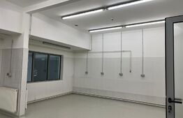 Laborator productie alimentara, 127mp, Someseni