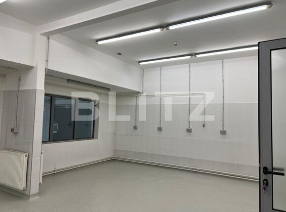 Spațiu industrial de închiriat Someseni - 125524SII | BLITZ Cluj-Napoca | Poza3