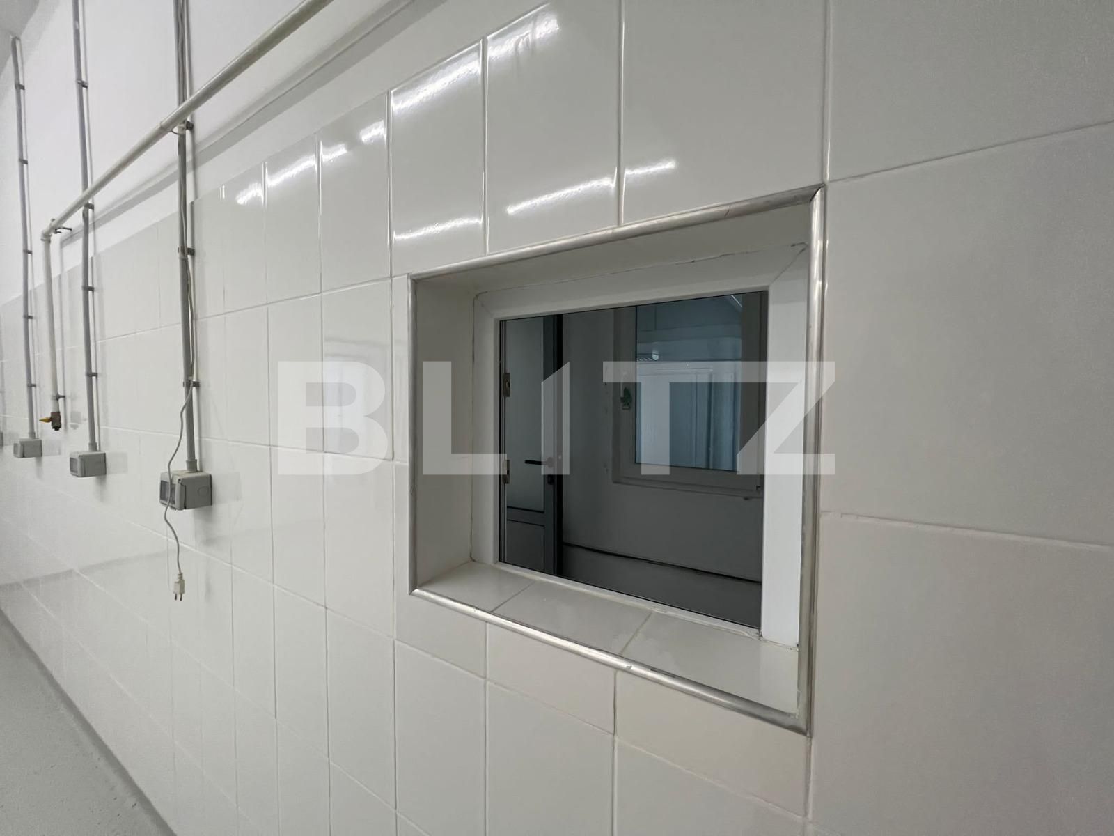 Spațiu industrial de închiriat Someseni - 125524SII | BLITZ Cluj-Napoca | Poza5