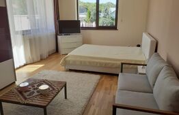 Garsoniera, 42 mp, terasa 60 mp, zona străzii Mehedinti