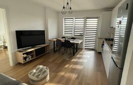 Apartament cu 3 camere 2 bai 67mp, terasa 25 m2, orientat Vest zona Intre Lacuri