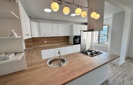 Apartament finisat nou, 2 camere, 50 mp, Sesul de Sus