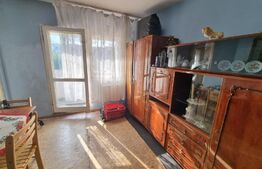 Oportunitate! Garsoniera zona Kaufland Manastur, 24mp, etaj intermediar, balcon