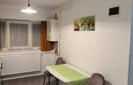 Apartament cu o cameră, 37 mp, zona Frunzișului 