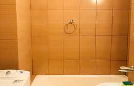 Garsoniera, 30 mp, mobilat modern, zona strazii Aurel Suciu!