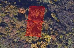  Teren intravilan, 1160 mp, cu PUZ in lucru, cartier Europa