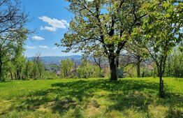 Casa individuala, 5 camere, 180mp, Dambul Rotund 
