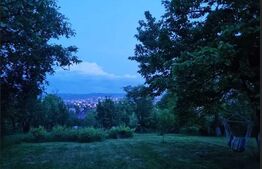 Casa individuala, 5 camere, 180mp, Dambul Rotund 