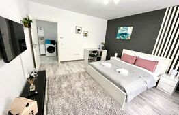 Garsoniera, 41mp, zona Bartolomeu