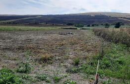 Teren intravilan 844 mp, Campenesti