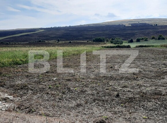 Teren de vânzare Câmpeneşti - 125960TV | BLITZ Cluj-Napoca | Poza2
