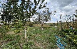 Teren 1,112mp Corpadea / Strada Gheorghe Doja