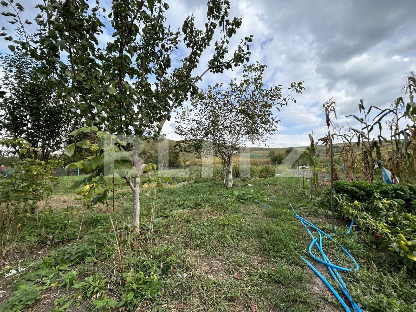 Teren de vânzare Corpadea - 125972TV | BLITZ Cluj-Napoca | Poza4