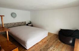 Apartament de 3 camere la casa, 90mp, zona Parcul Central