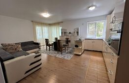 Apartament 2 camere, modern, 50 mp, zona Florilor 