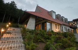 Casa exclusivistă, 6 camere, 530 mp, 1670 mp curte, parcare, zona Sat Vlaha