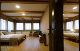 Casa exclusivistă, 6 camere, 530 mp, 1670 mp curte, parcare, zona Sat Vlaha