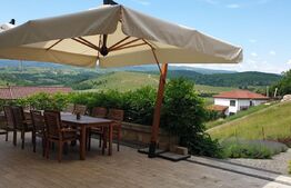 Casa exclusivistă, 6 camere, 530 mp, 1670 mp curte, parcare, zona Sat Vlaha